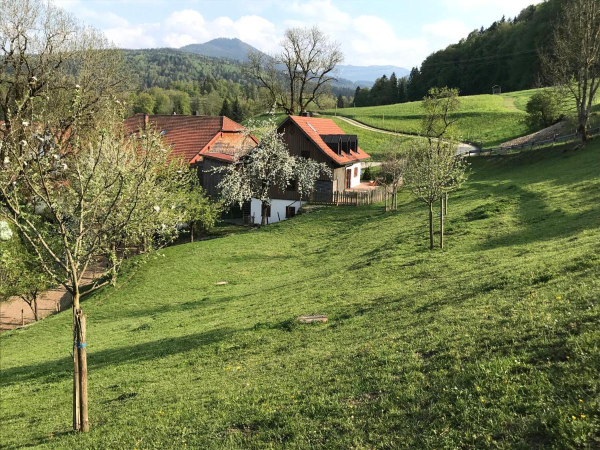 Pension Ober Siegsdorf Kültér fotó