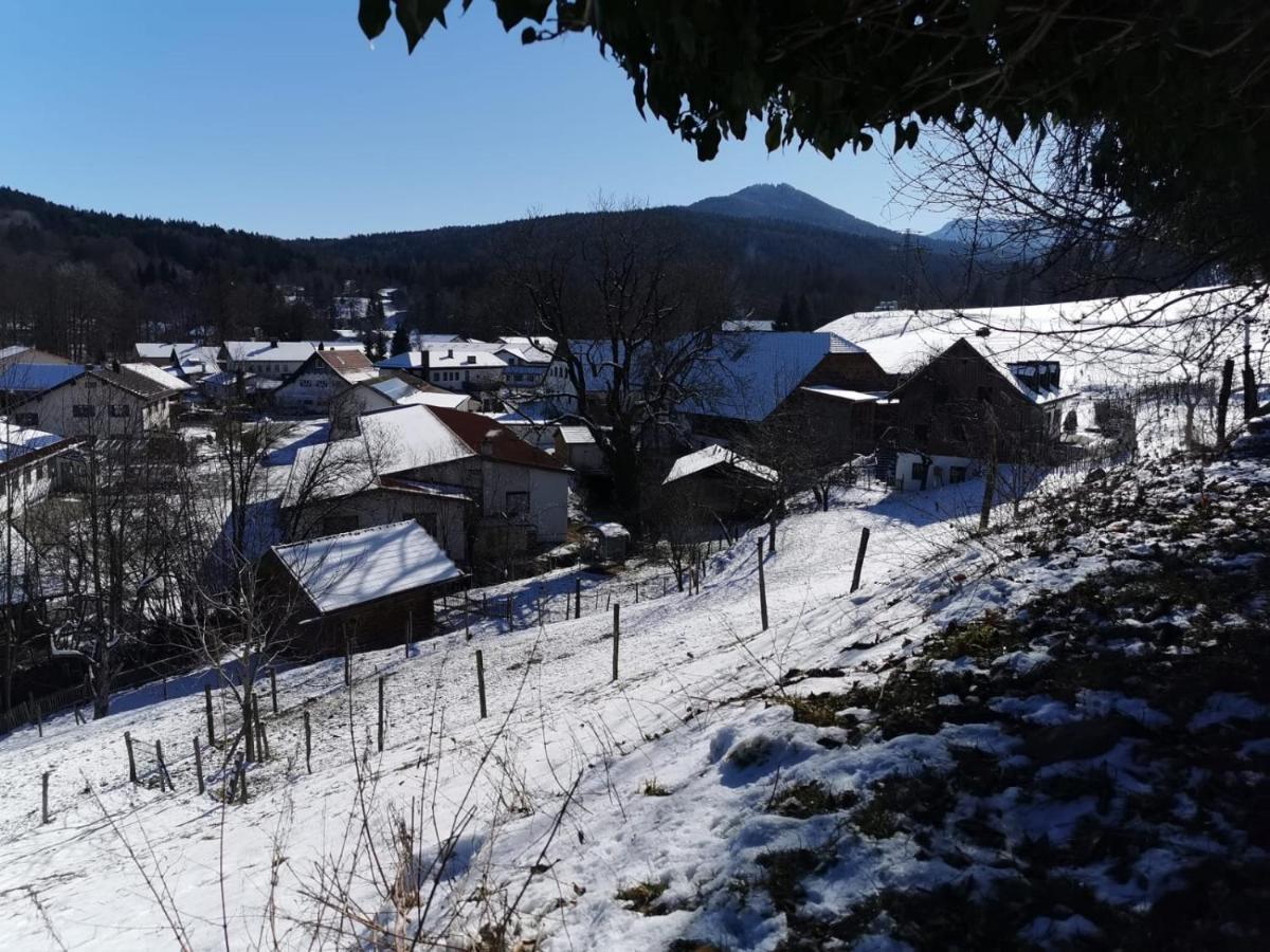 Pension Ober Siegsdorf Kültér fotó