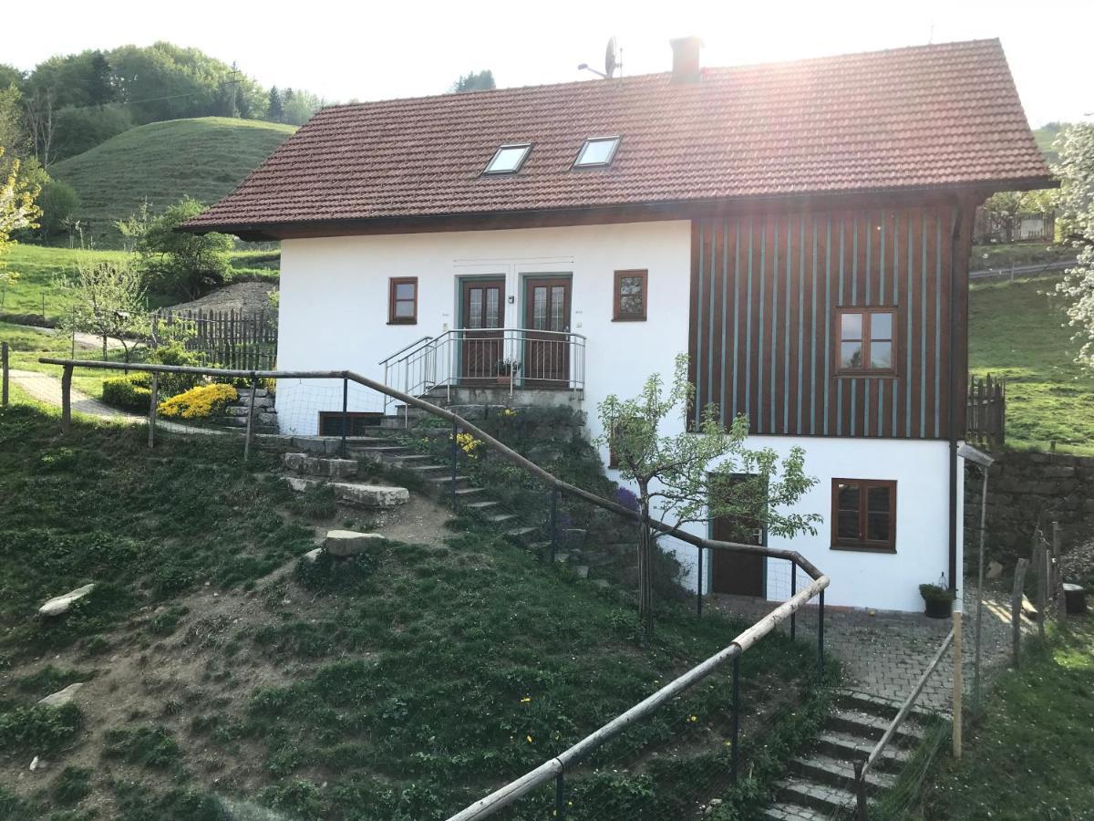 Pension Ober Siegsdorf Kültér fotó